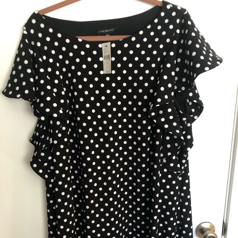 Lane Bryant Polka Dot Dress